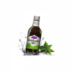 Комбуча Лайф Джинджифил 500 мл Kombucha