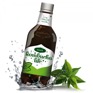 Комбуча Лайф Мента 500 мл Kombucha