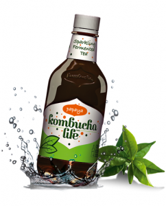 Комбуча Лайф Папая 500 мл Kombucha